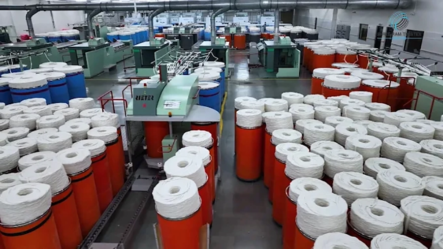 Shree Ram Twistex IPO