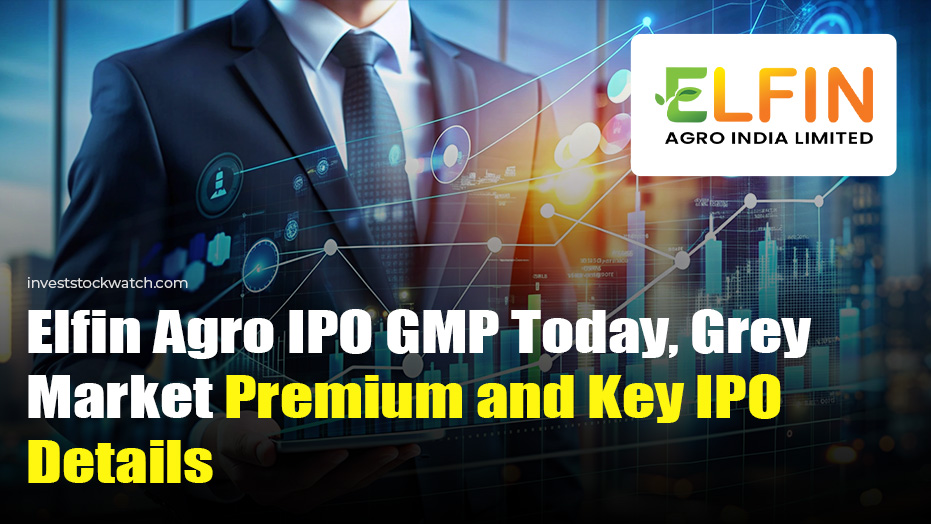 Elfin Agro IPO