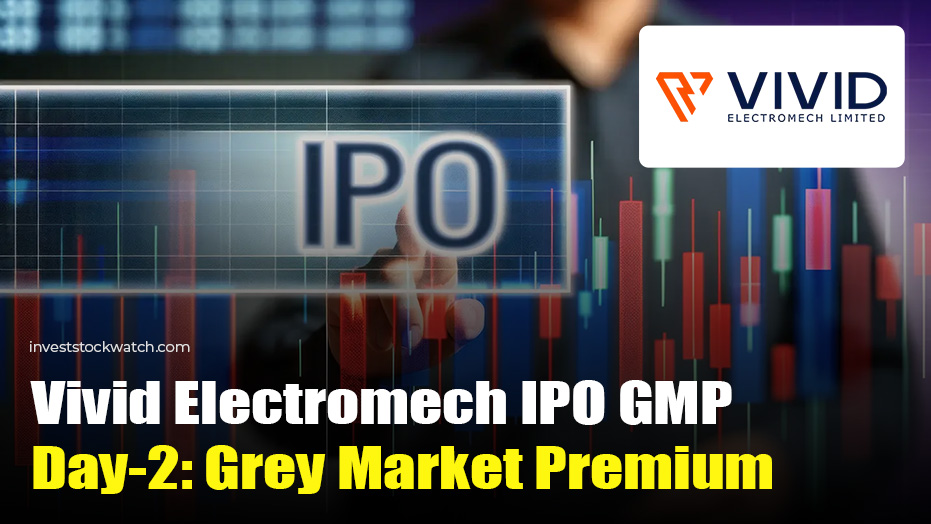 Vivid Electromech IPO