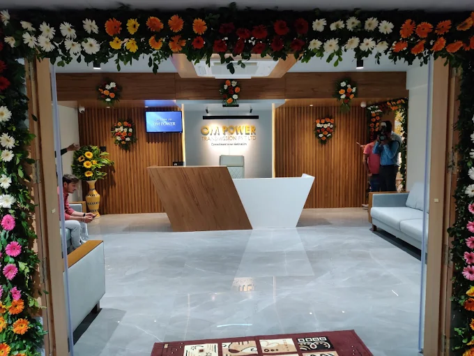 Om Power Transmission IPO