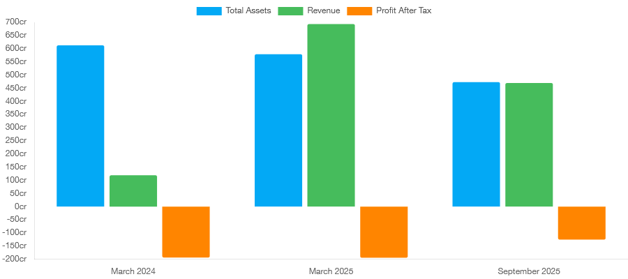 Turtlemint Fintech IPO
