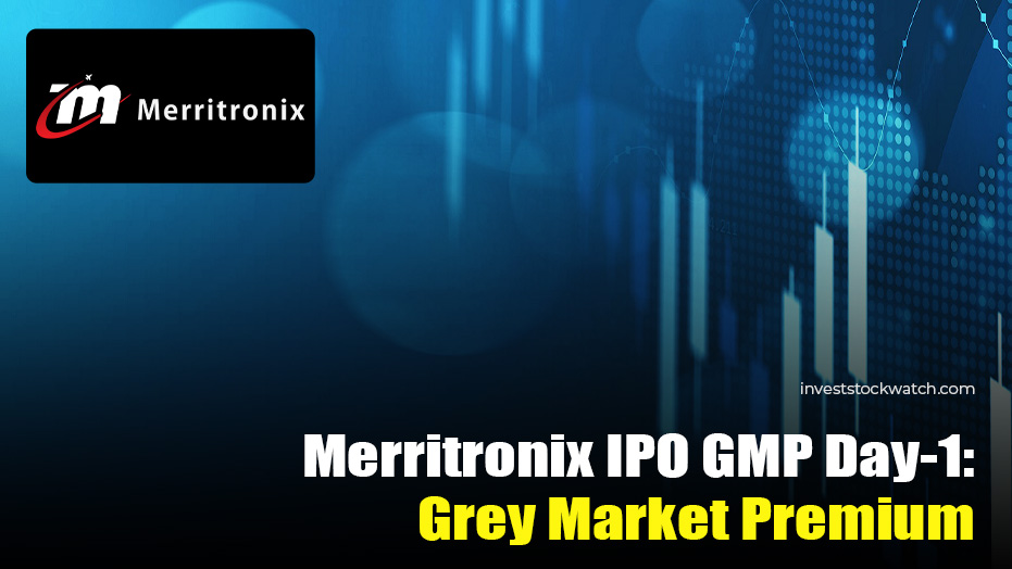 Merritronix IPO
