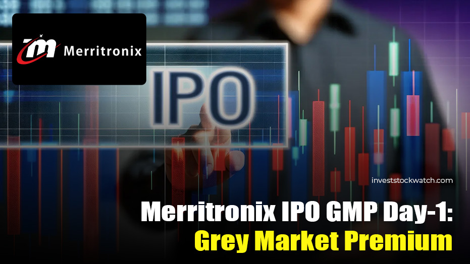 Merritronix IPO