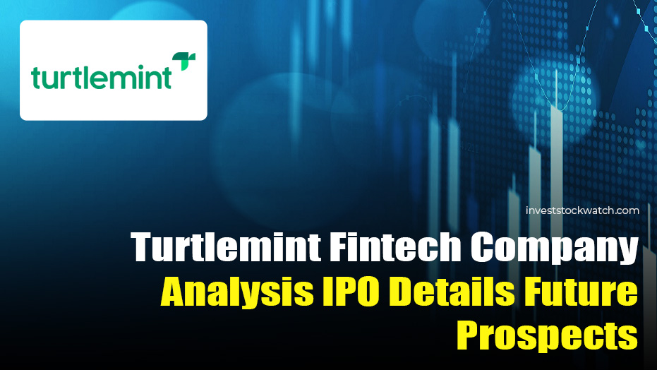 Turtlemint Fintech IPO